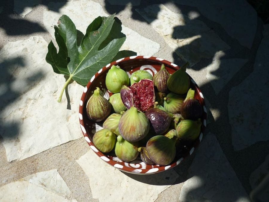 view from above of ceramic bowl with ripe figs from Evonymon