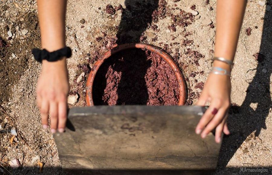 girl holding a stone board above a half-burried ceramic pot with grapes at Afianes wines