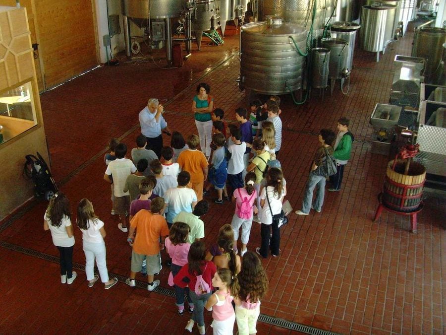 a group of children listening to a man giving a tour at Tzivani Bio Wines plant with aluminum wine storage tanks