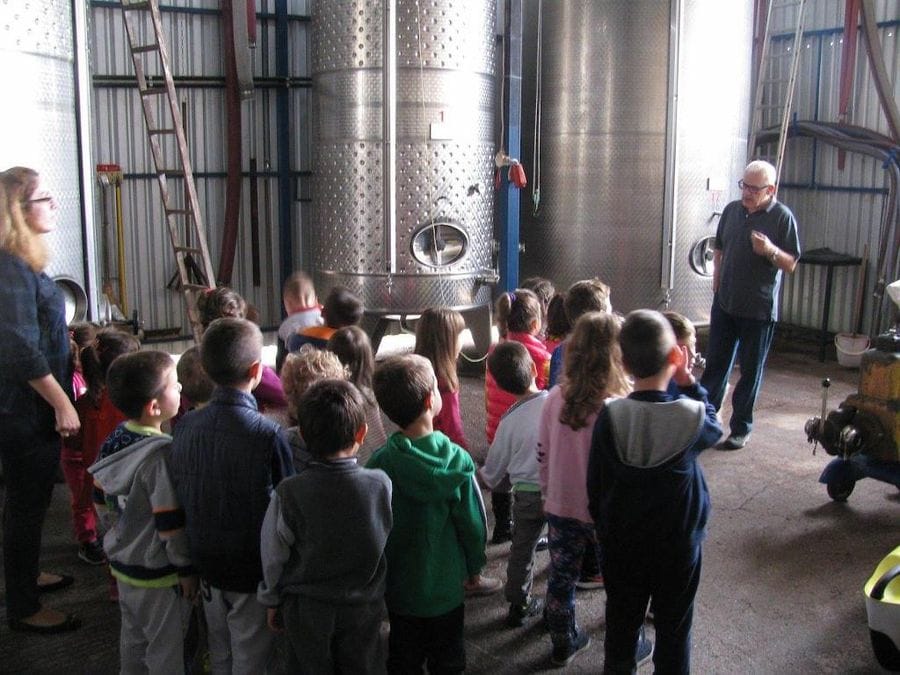 children listening to a man giving a tour at Papantonis winery plant