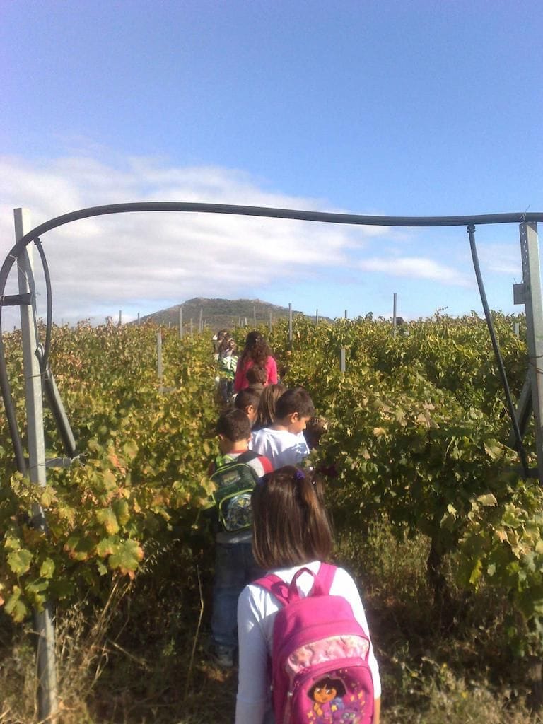 children walking single file at Tzivani Bio Wines vineyards