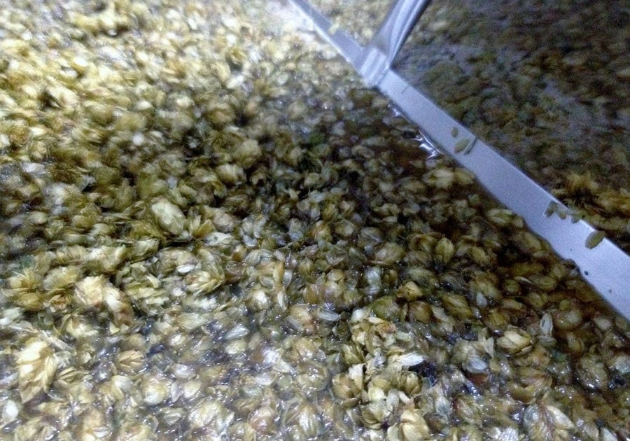 mixing barleycorns and water at 'Chios Beer' machine