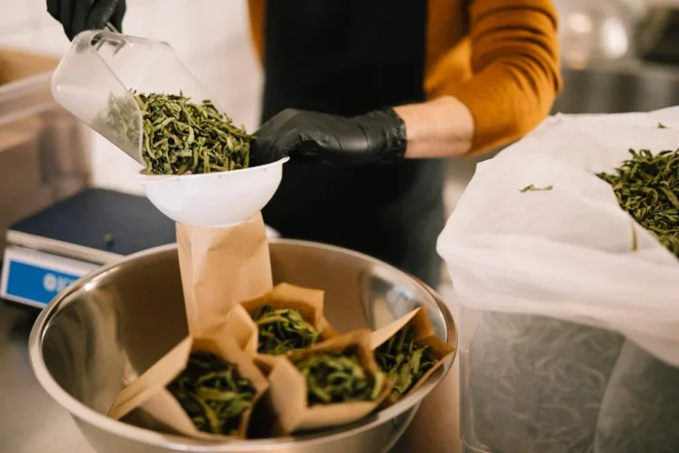 Close-up of a woman putting labels on paper packets of dried herbs at Rhoeco Fine Organic Goods laboratory|