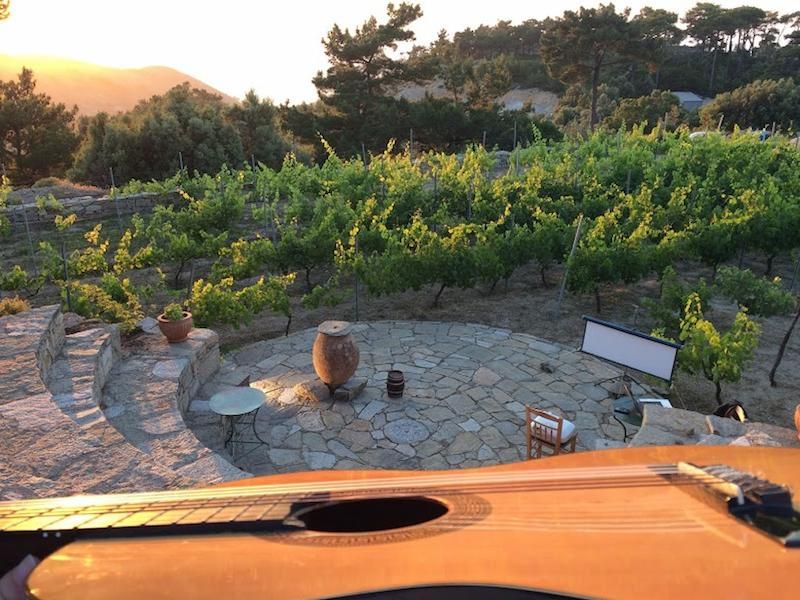 close-up of guitar and a stone amphitheater, rows of vineyards and trees in the background at Afianes wines