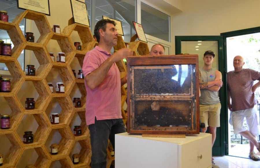 man explained the bees's life to the tourists using a closed glass box with bees at Corfu Beekeeping