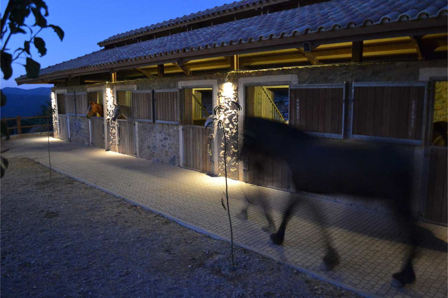 horses at Country Hotel Velani's riding school by night