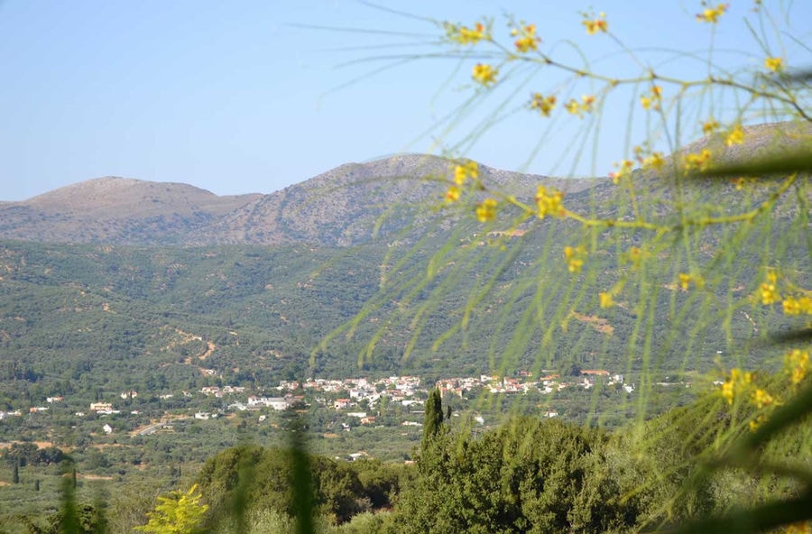 branches with yellow flowers in the background of mountains at Country Hotel Velani