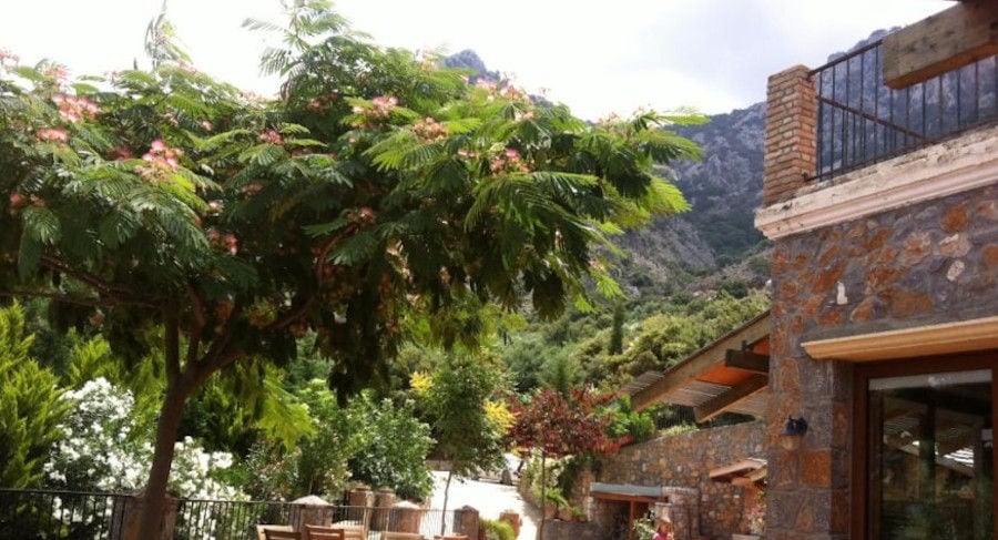 tree with white flowers in nature at Country Hotel Velani's complex