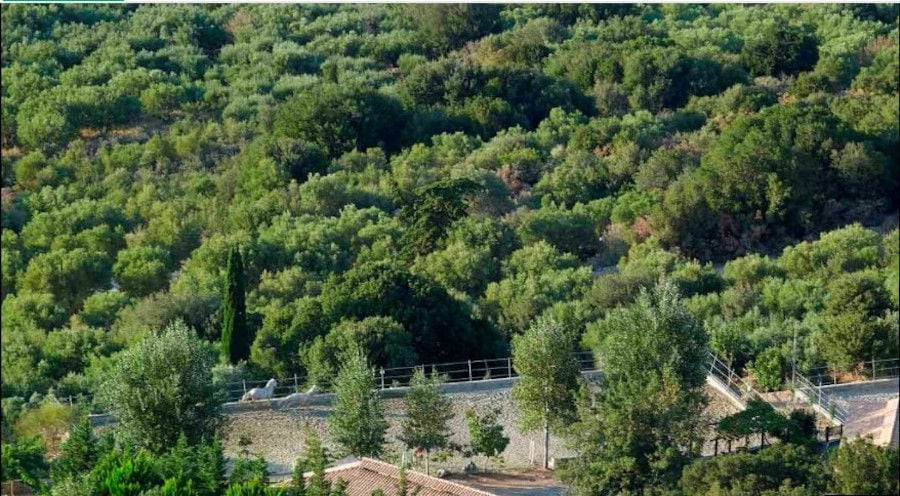 top view of Country Hotel Velani complex, trees, riding school