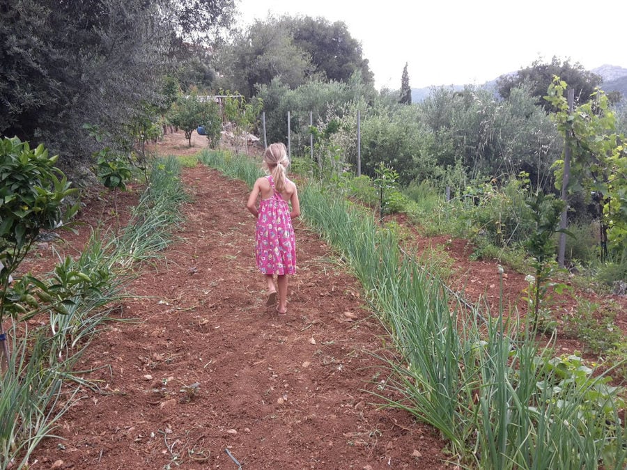 girl walking in Country Hotel Velani's vegetable garden
