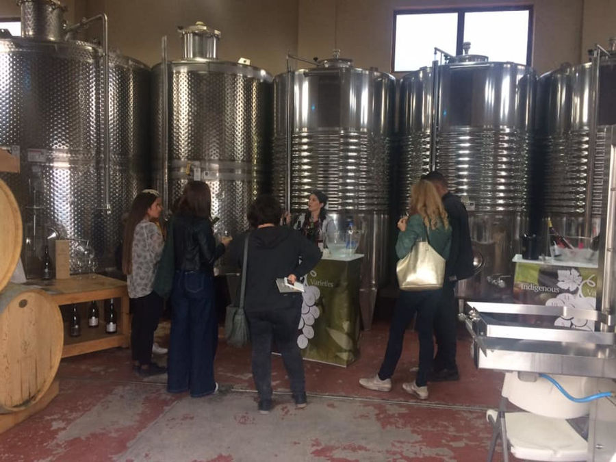 'Diamantakis Winery' guide presenting tourists the wine storage tanks and the plant and drinking wine