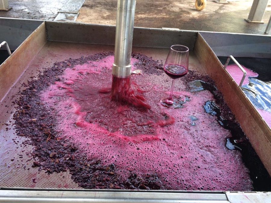 red wine 'must' flowed from hydraulic pump into vat at 'Diamantakis Winery' plant