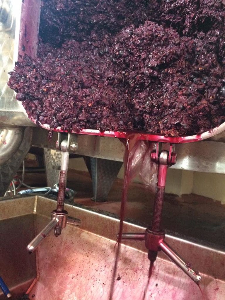 aluminum vat with black grape skins at 'Diamantakis Winery' plant