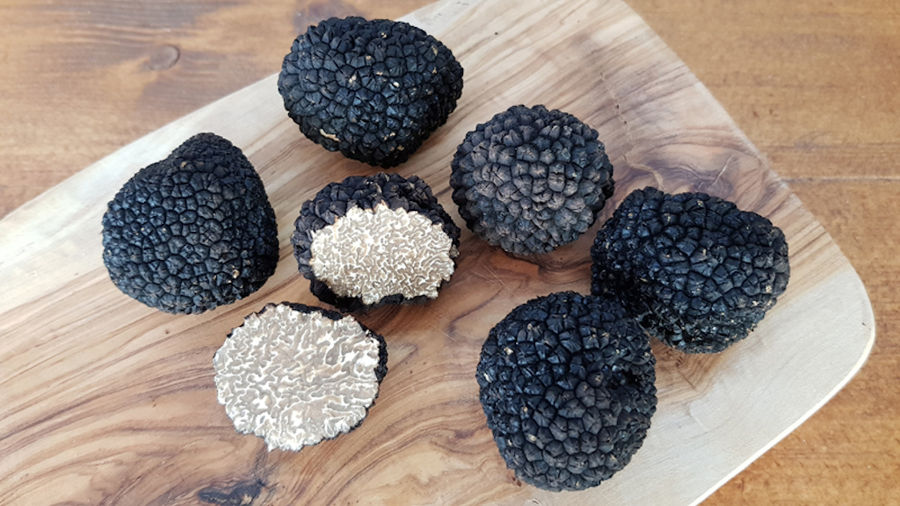 black truffles on wood plate from 'Dirfis Mushrooms' crops