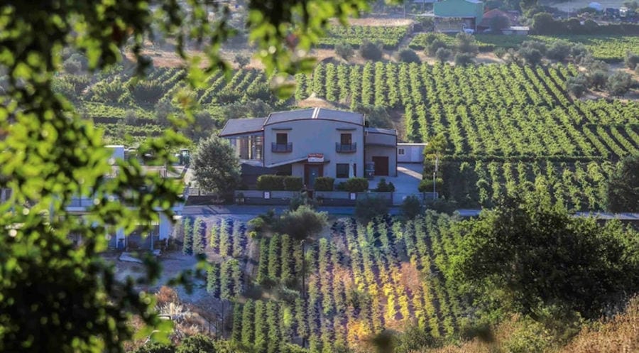 'Domaine Bairaktaris' from above surrounded by vineyards and trees in the sunshine day