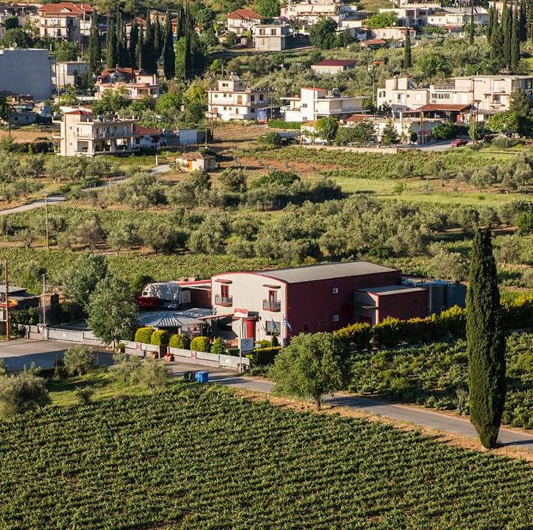 'Domaine Bairaktaris' from above surrounded by vineyards and trees and buildings in the sunshine day