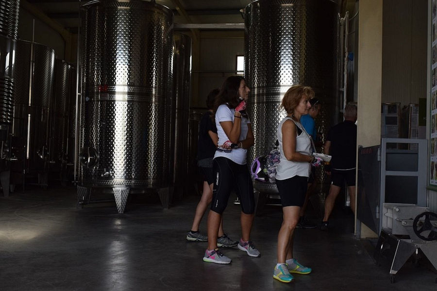 women visiting the aluminum wine storage tanks at 'Domaine Bairaktaris' plant