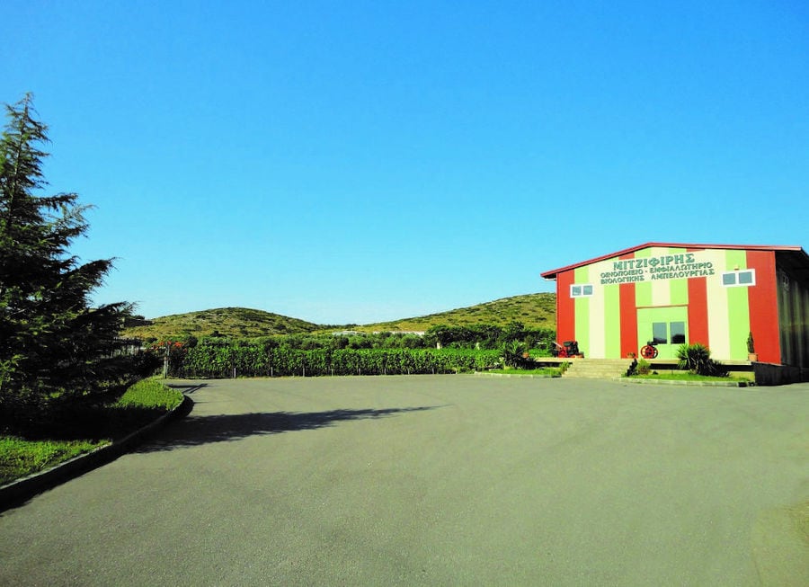 view of 'Domaine Mitzifiris Bio Wines' winery with stone pavement in front