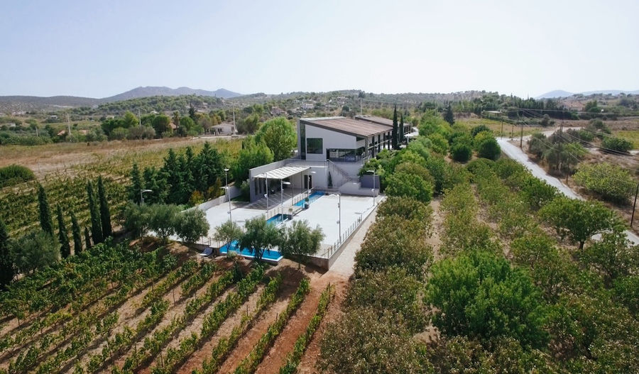 Domaine Papagiannakos from above surrounded by a piscine, vineyards and trees