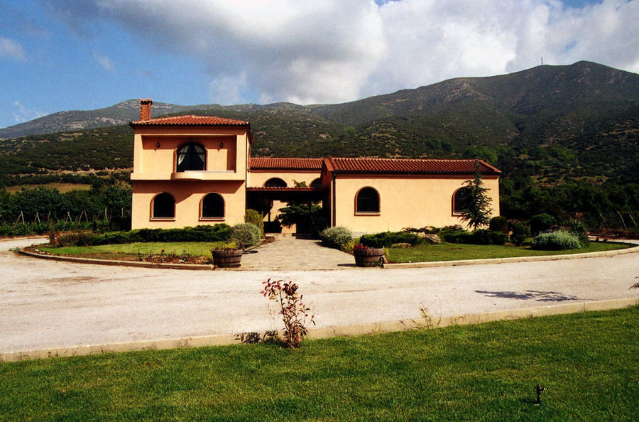 one side of the building surrounded by green lawn and trees of 'Dougos Winery'