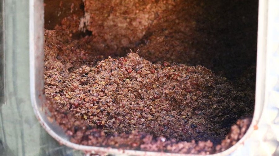 grape skins in vat at Douloufakis Winery plant