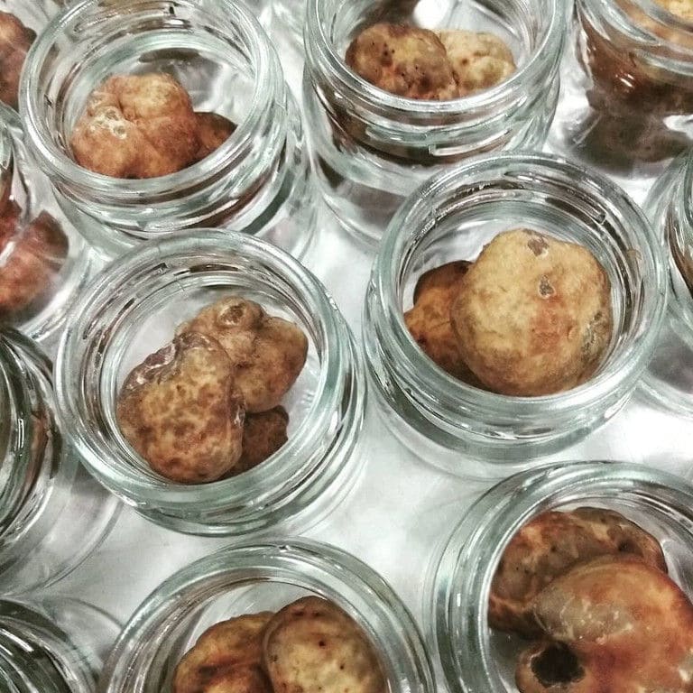 view from above of jars with white truffles from 'Dryas Greek Truffle'