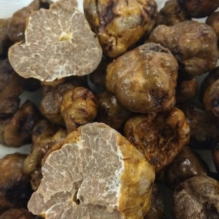 fresh white truffles and two of them is cutting from 'Dryas Greek Truffle'