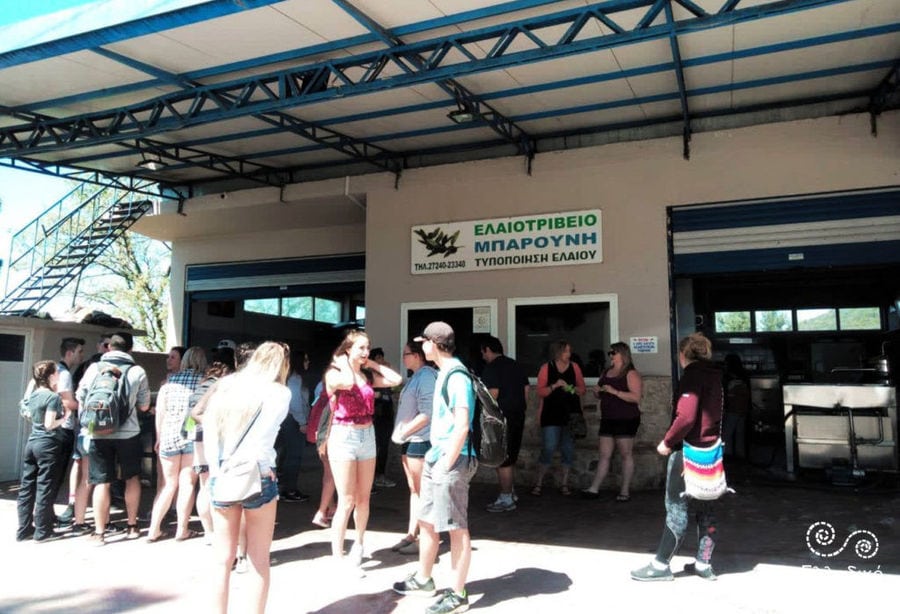 a group of young tourists waiting front the Elladiko olive oil plant outside at entrance