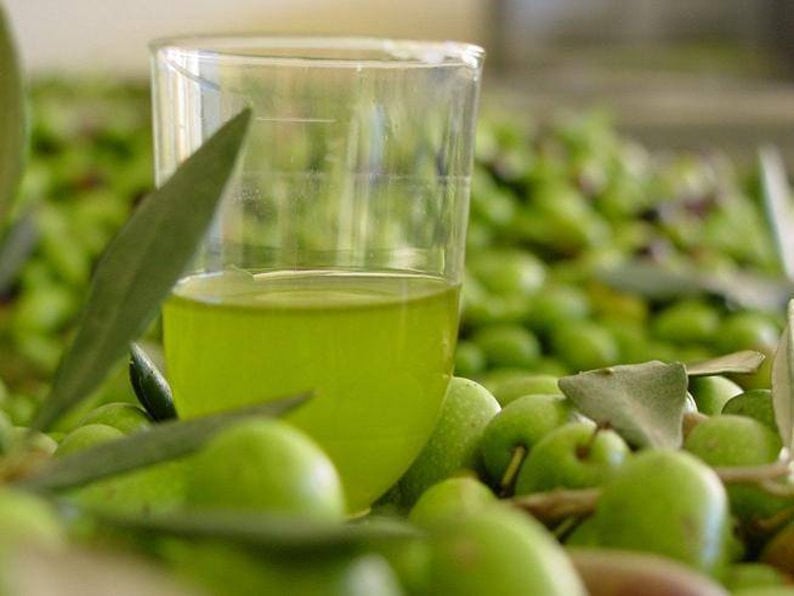 close-up of glass with olive oil surrounded by green olives and their leaves at Elladiko