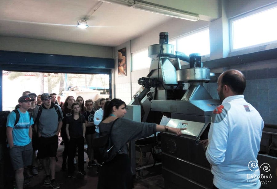 a group of young tourists listening to a guide at Elladiko olive oil plant