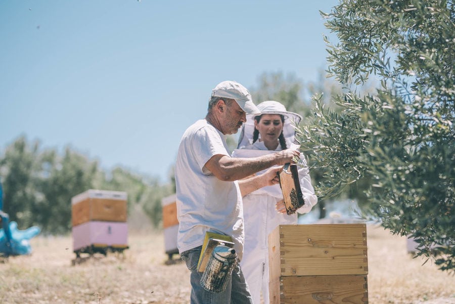 a man holding a honeycomb panel and a beekeeper girl watching it in nature at Ermionis