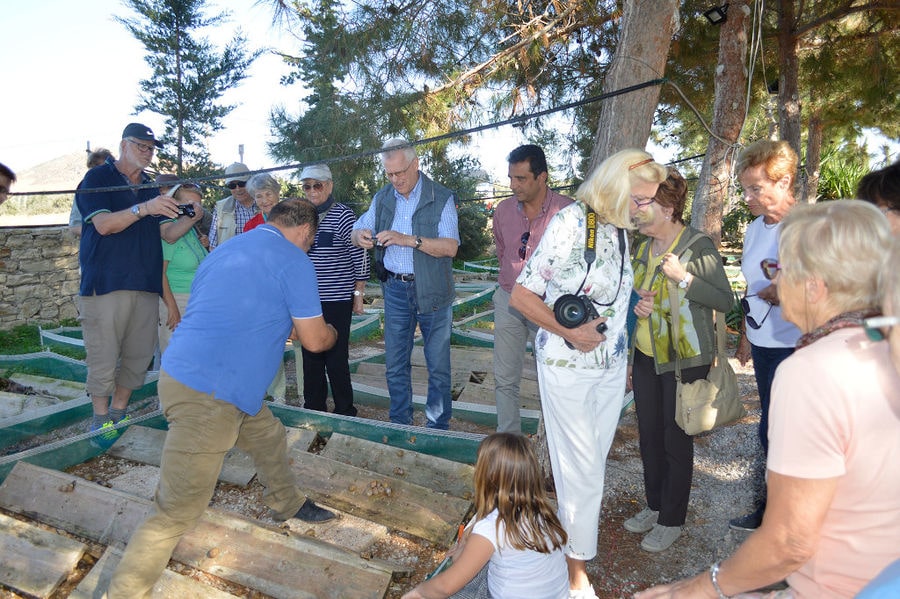 a group of tourists watching land snails on the ground and taking photos with the camera at Escargot de Crete farm outside