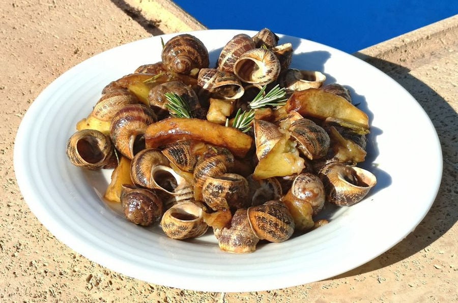 cooked land snaisl shells with fresh rosemary from Escargot de Crete farm