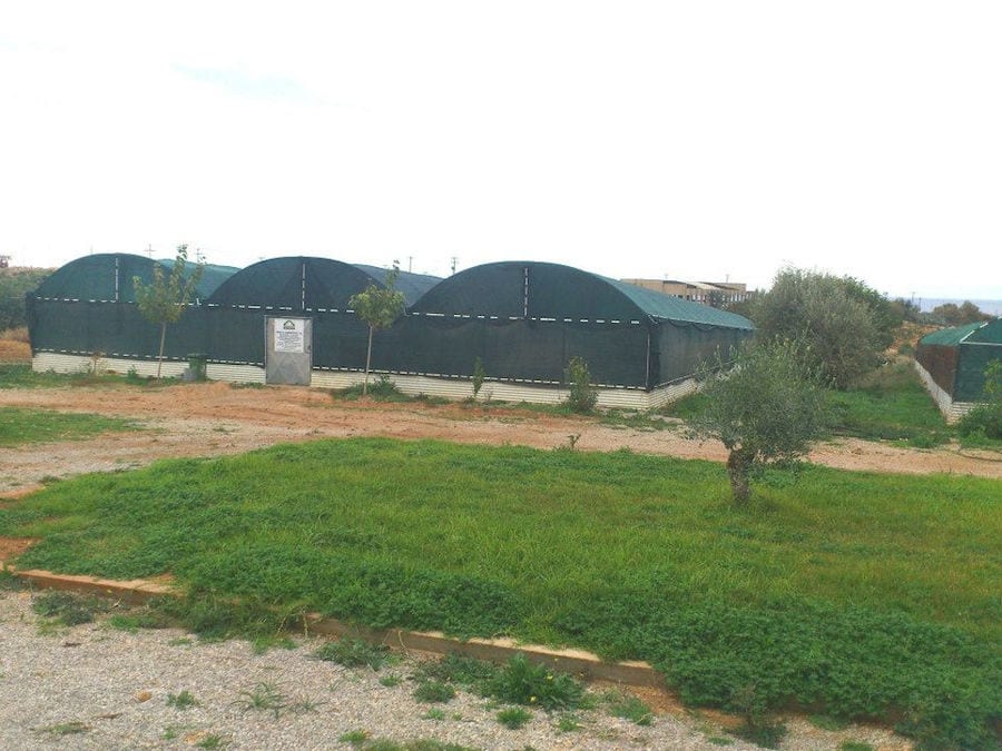 front view of Escargot de Crete farm surrounded by green grass