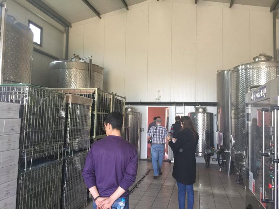 tourists visiting the Constantin Gofas Estate plant in the wine storage tanks area