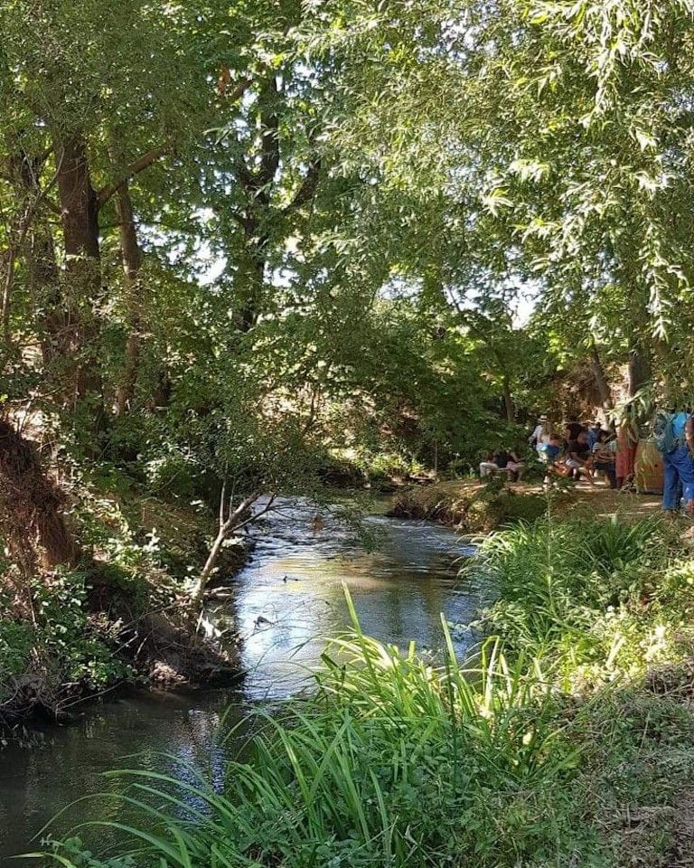 a creek at the Constantin Gofas Estate garden with high trees and green grass on the both sides