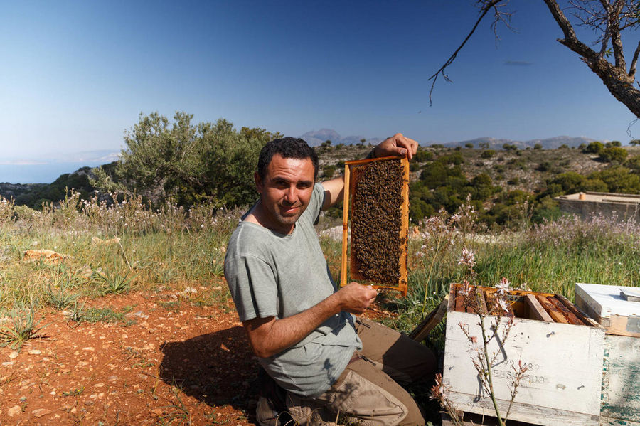 man holding honeycomb panel at 'Eumelon' and watching at the camera with trees in the background