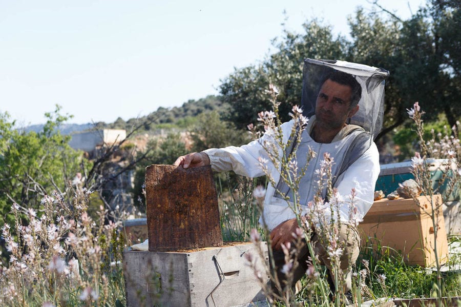 beekeeper holding honeycomb panel at 'Eumelon' and watching at the camera with trees in the background