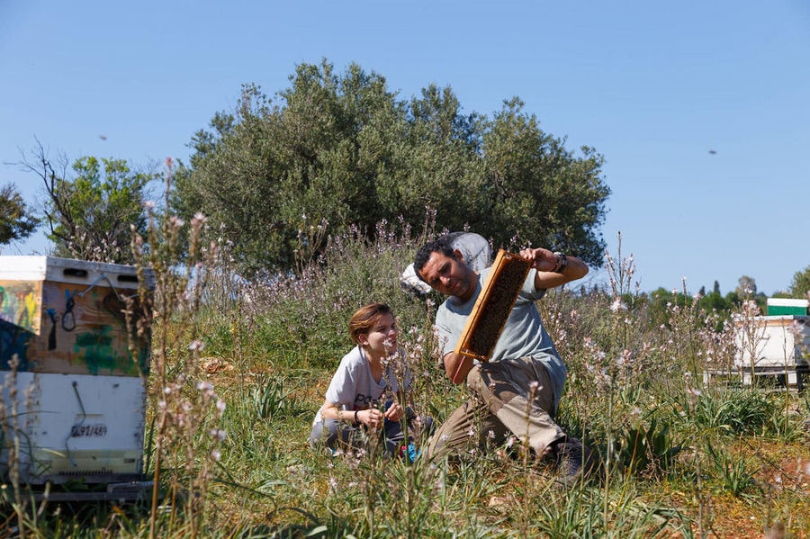 man holding honeycomb panel at 'Eumelon' and showing at the child with trees in the background