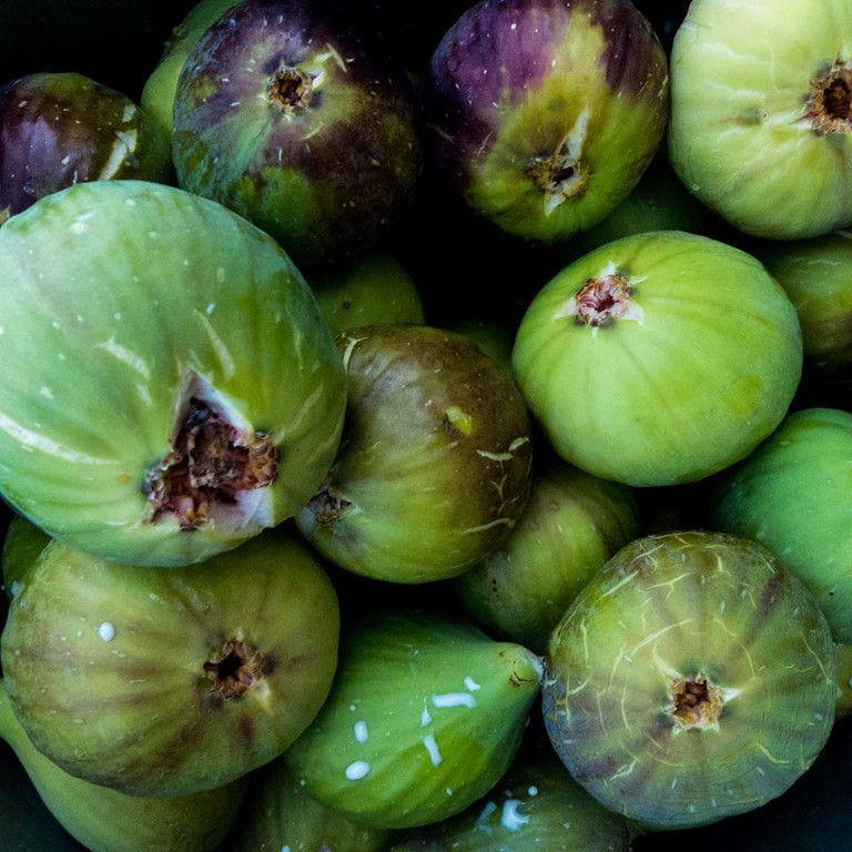 Close-up of fresh figs side by side from Figland