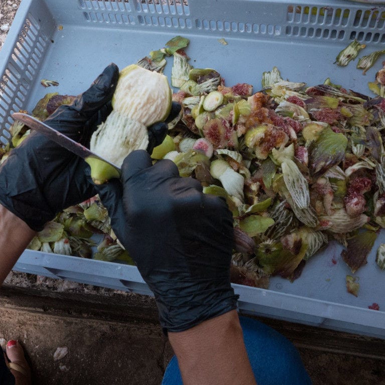 close-up of a woman peeling a fig with a knife