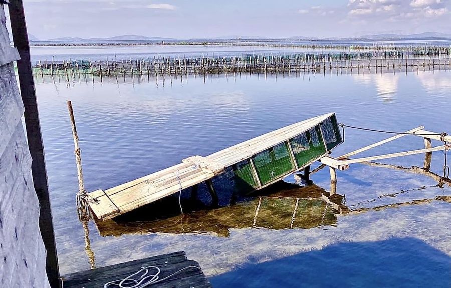 Stefanos Kaneletis’ fish farming on the sea