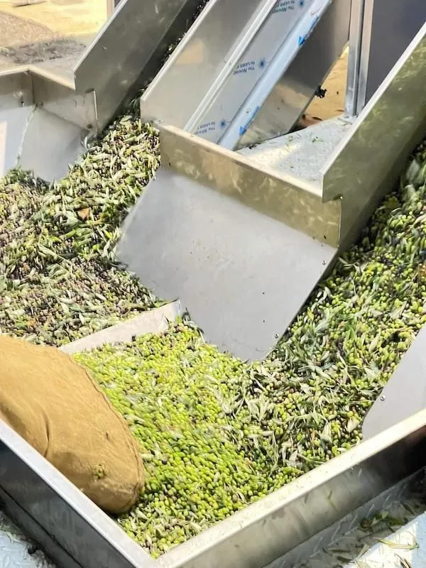 close-up of olive oil press machine working at Politakis Olive Oil Mill premises