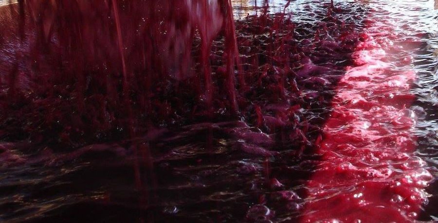 red wine 'must' flowed in press machine at 'Domaine Foivos' plant