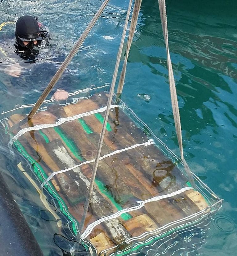 crane raising a palette with wine bottles from the deep sea on the 'Domaine Foivos' marine tug