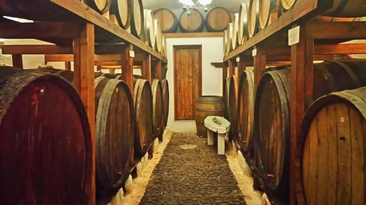 lying wine barrels on top of each other and on the wood panels at Gavalas Winery cellar