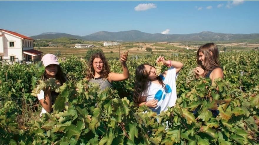 four girls smile happily at the camera at Tzivani Bio Wines vineyards