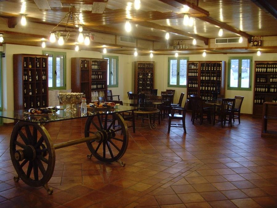 glass table with two wheels carts and wine bottles in the storage lockers at Tzivani Bio Wines museum