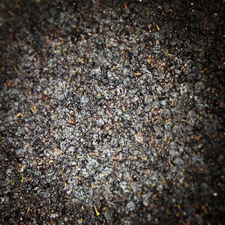 close-up of black Golden Black raisins