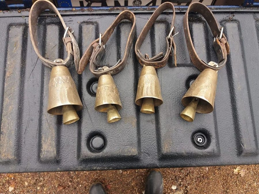 four animal bells with their skin collars on gray surface at Gralista Farm